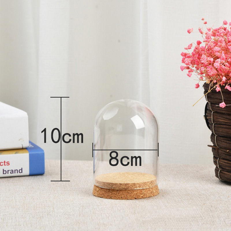 Florist Supply Vases - غطاء قبة زجاجي شفاف للنباتات العصارية