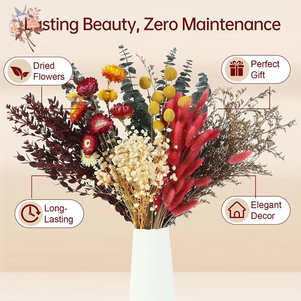 مجموعة كبيرة من الزهور المجففة - مراجعة Florist Flower Supply وسعره