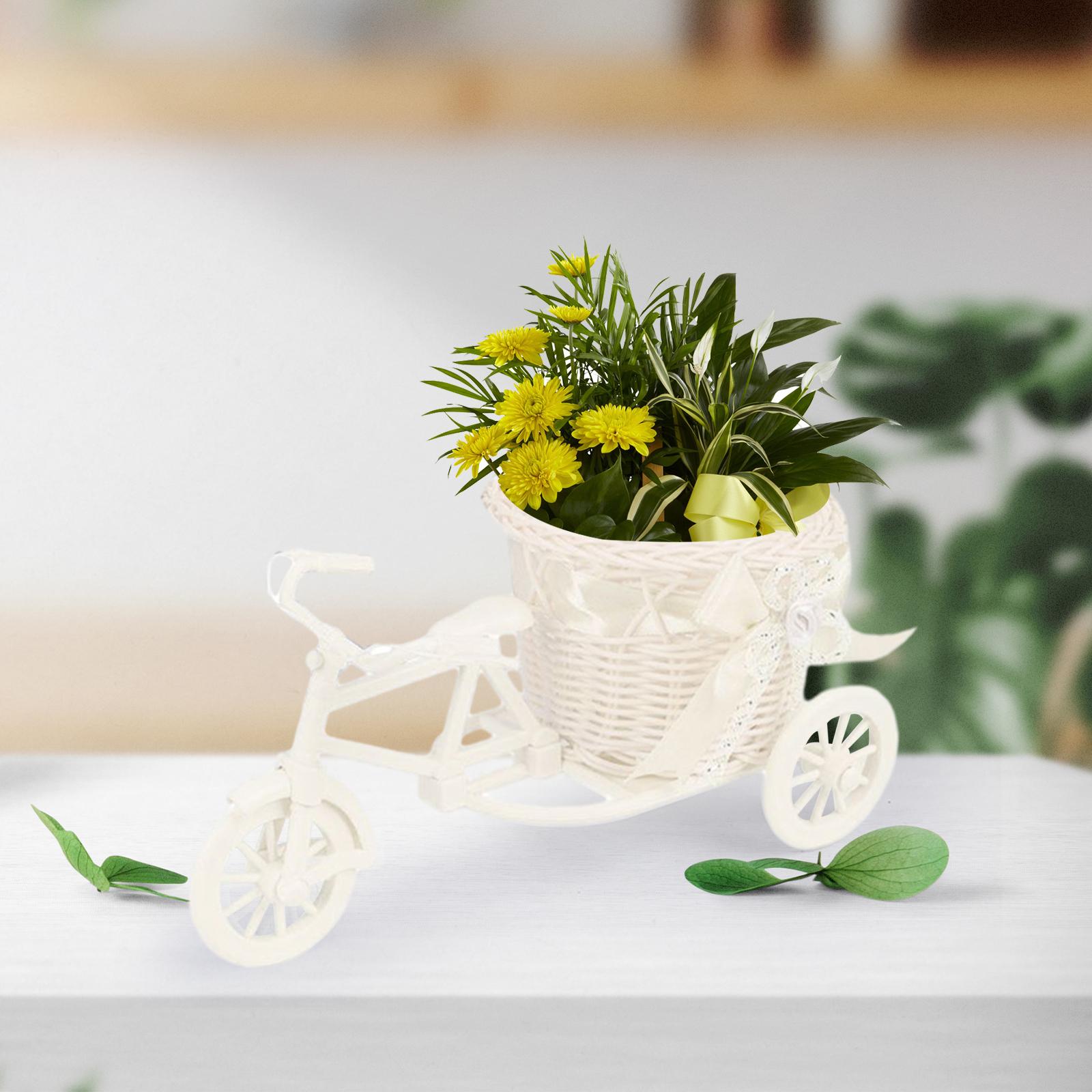 سلة زهور اصطناعية للدراجات ، م - مراجعة Florist Supply Vases وسعره